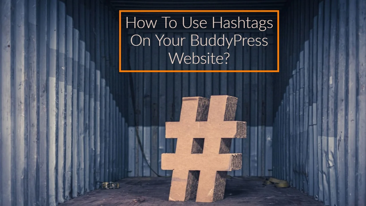 How To Use Hashtags On Your BuddyPress Website?