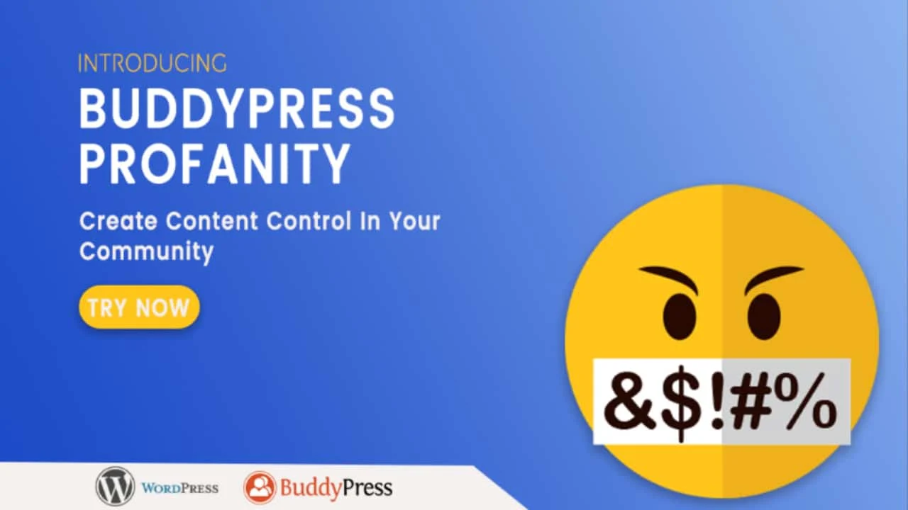 How To Filter Out Bad Words From BuddyPress Website?