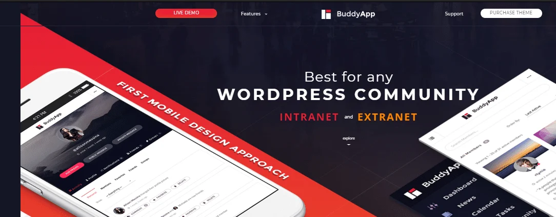 buddyapp theme