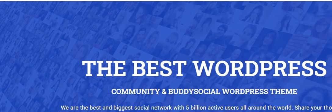 Best WordPress Community Themes