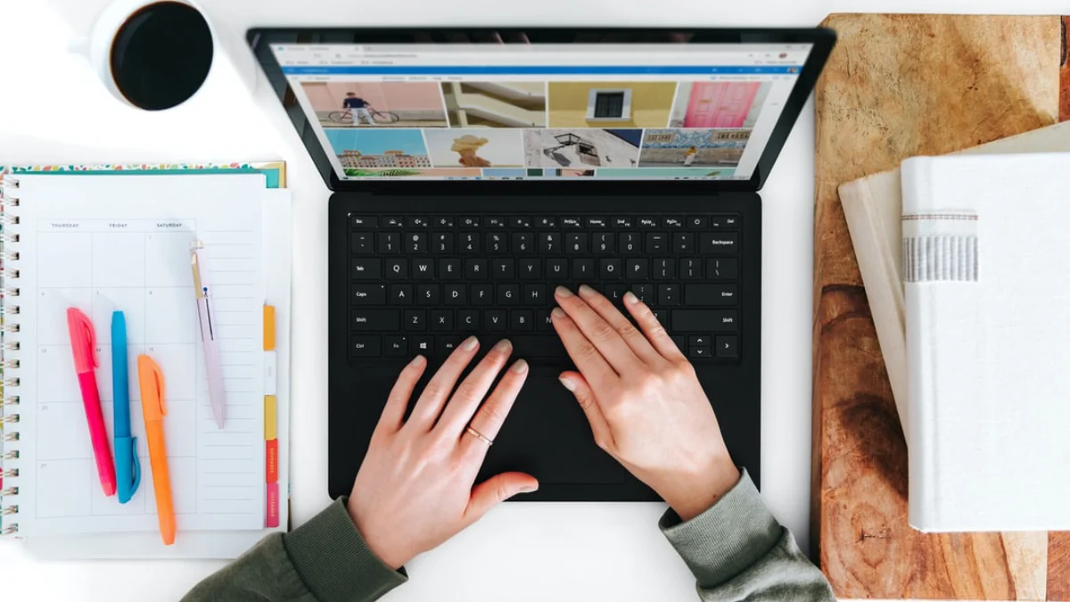 10 Best Bootstrap 4 BuddyPress Themes 2026
