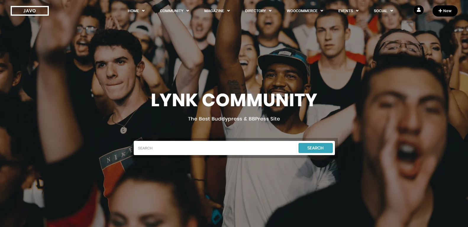 lync-wordpress