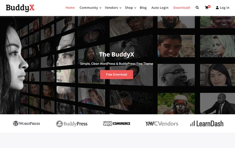 BuddyX