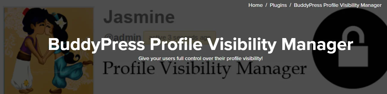 BuddyPress Profile Visibility Manager Plugin Review