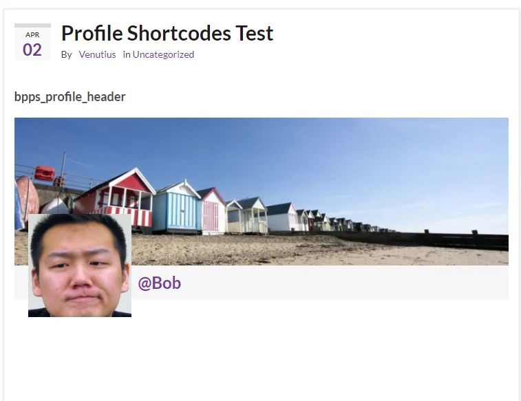 PROFILE SHORTCODES