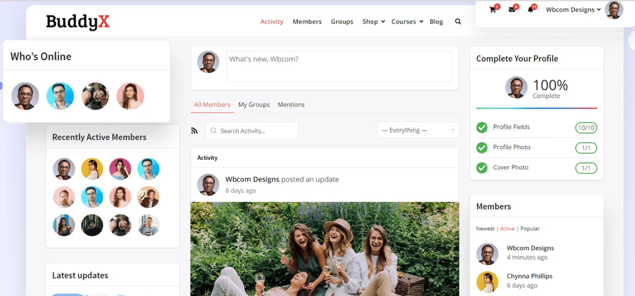 BuddyX theme
