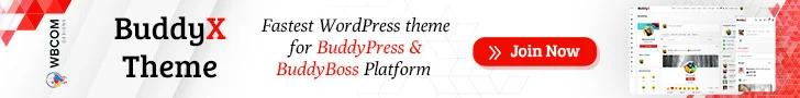 BuddyX Theme