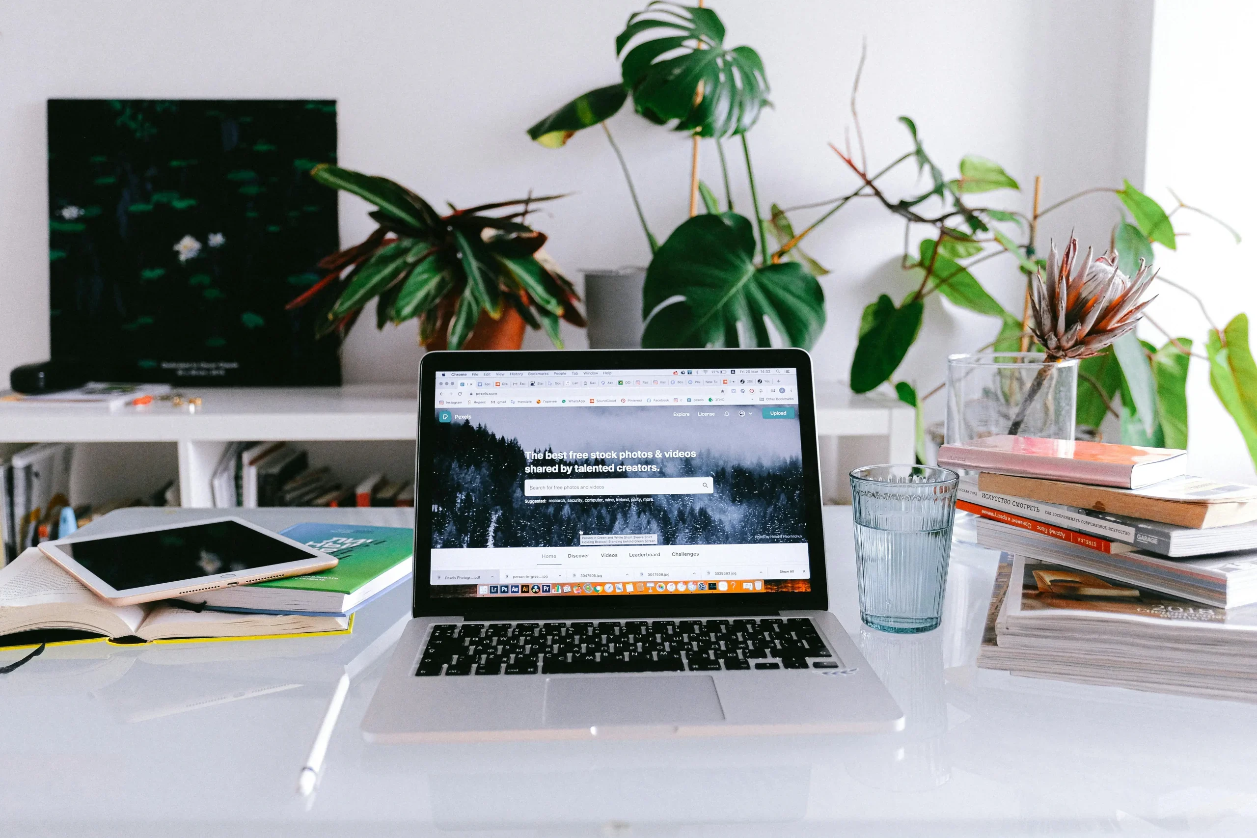How to Build a Freelancer Directory with BuddyPress