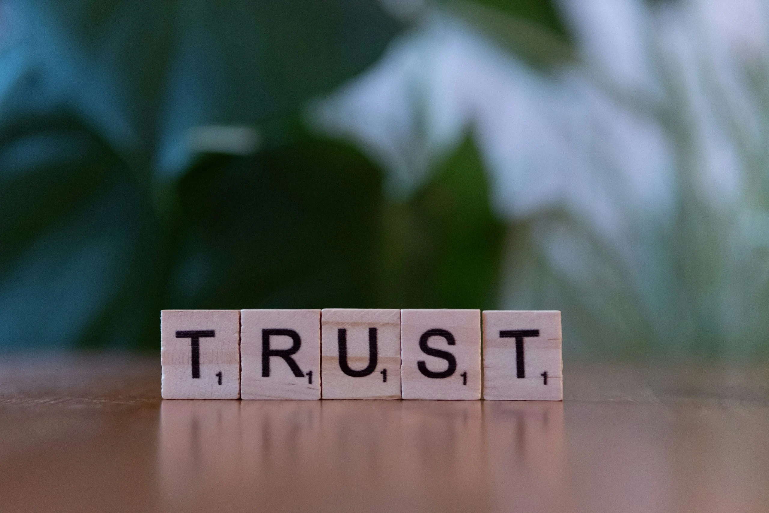 How to Build a Self-Moderating Forum with Jetonomy Trust Levels on BuddyPress