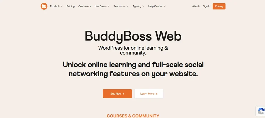 BuddyBoss Platform community and course dashboard