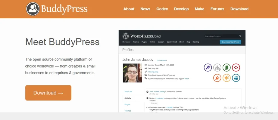 BuddyPress activity stream and groups