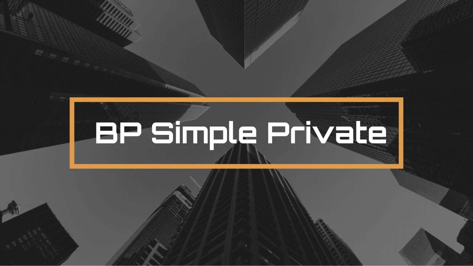 BP Simple Private Plugin Review