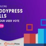 Add Polls Feature In BuddyPress Website