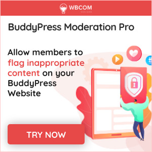 BuddyPress Modration Pro