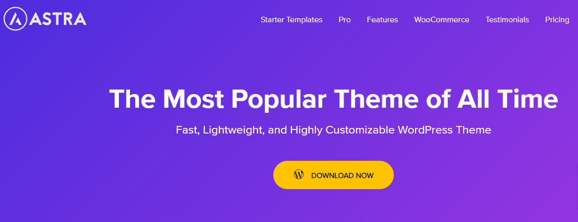 Top WordPress Themes- Top WordPress Themes