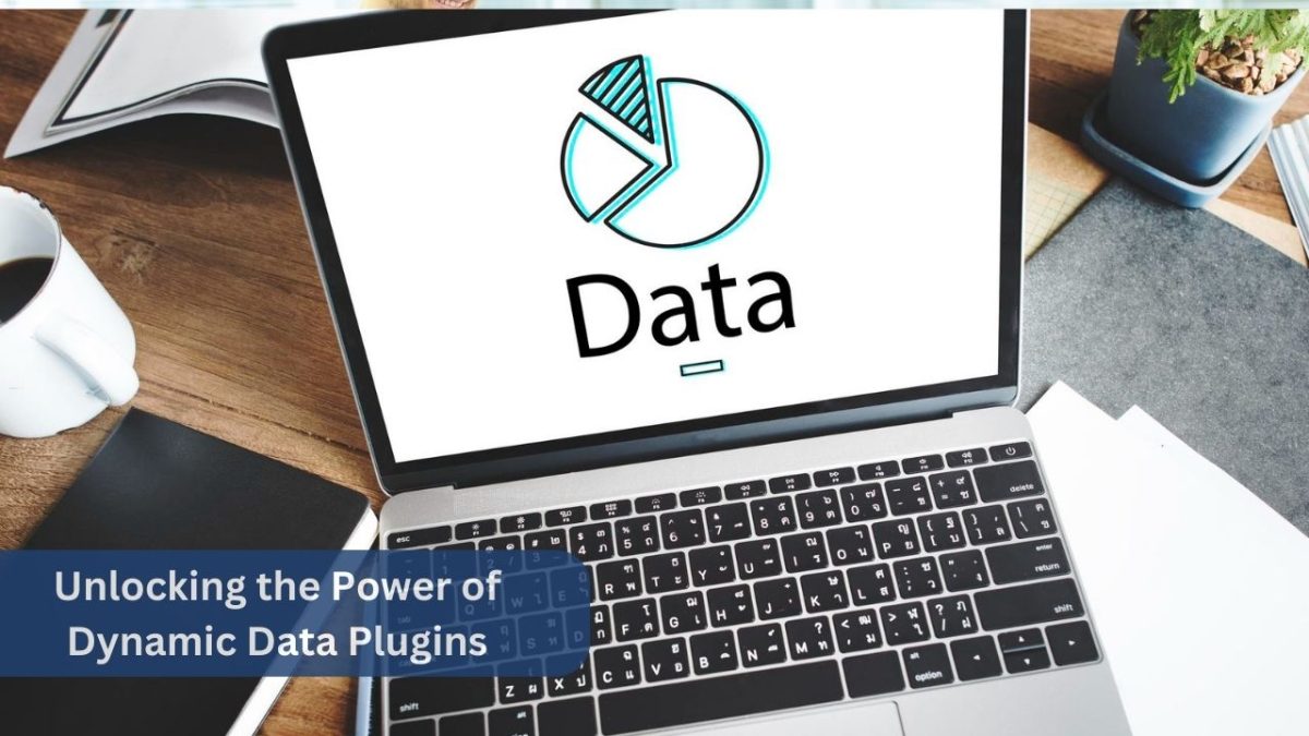 Unlocking the Power of Dynamic Data Plugins