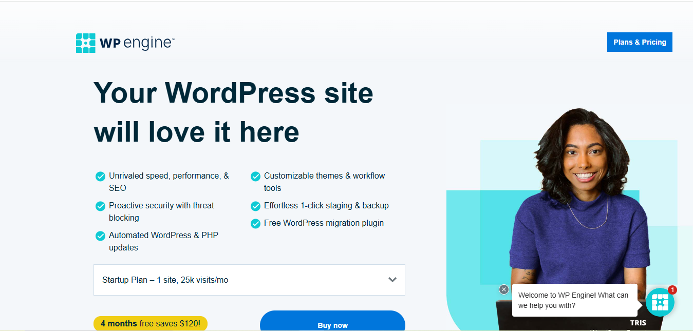 What Are Some Host Websites for WordPress