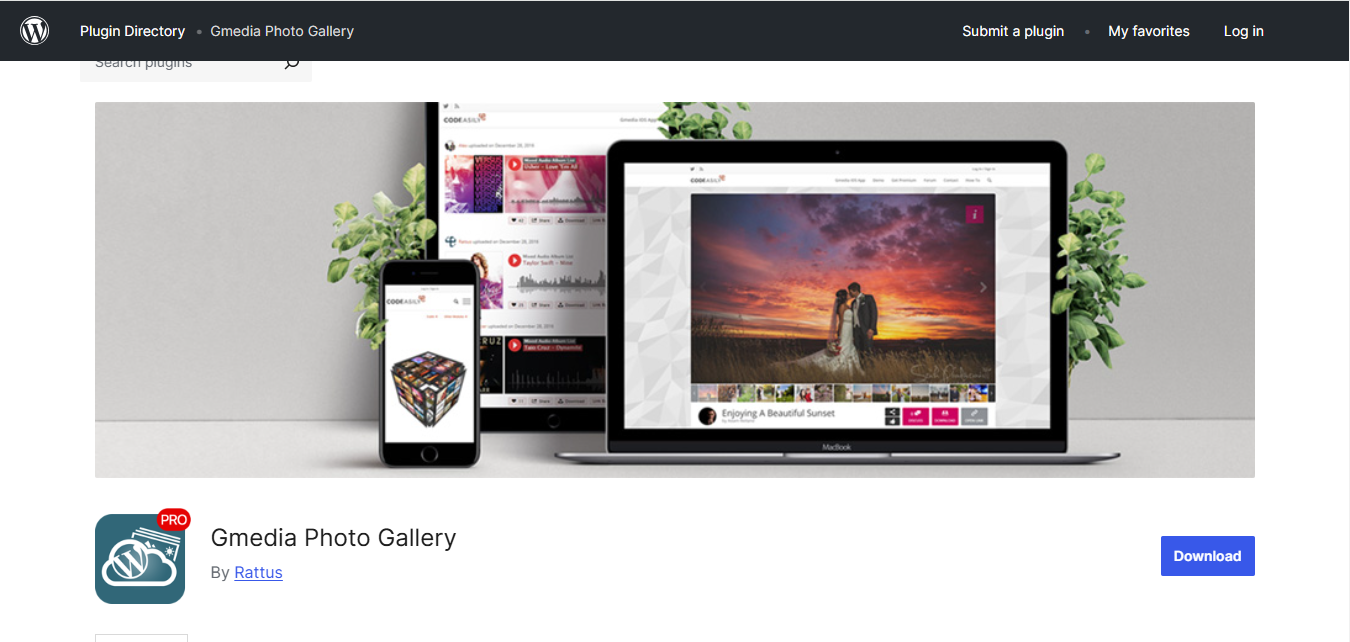 best WordPress picture gallery plugins