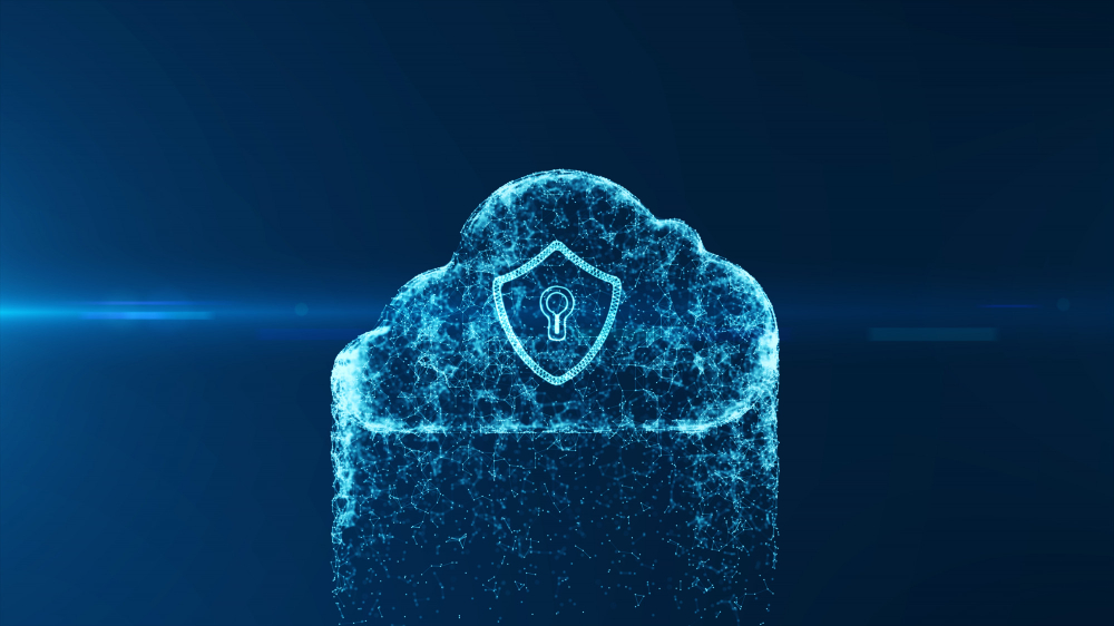Software for Cloud Security