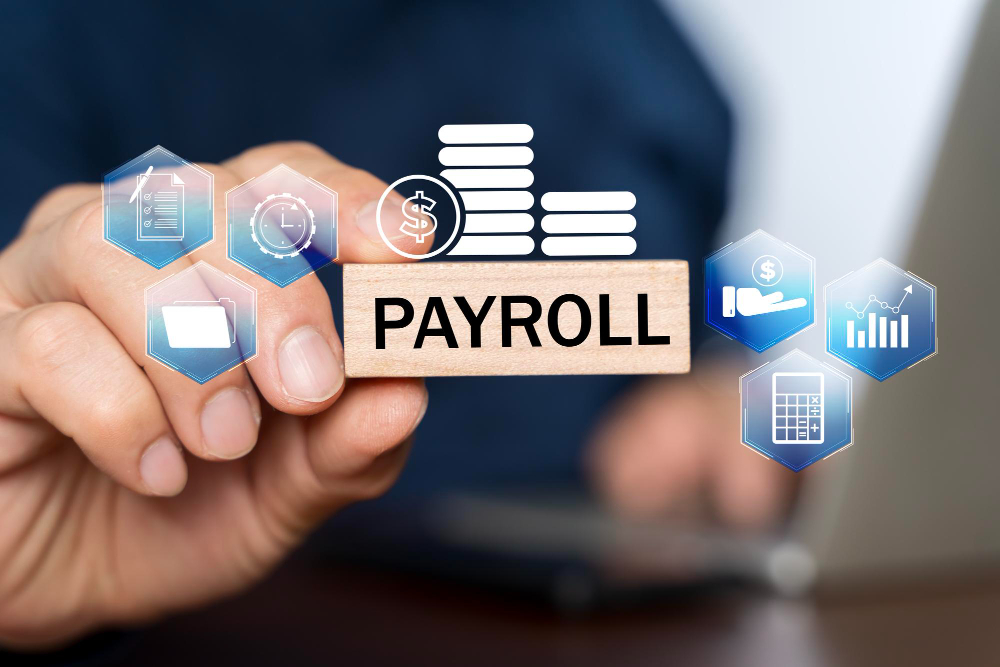 Software for Payroll Processing