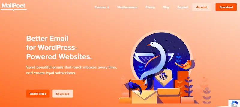 WooCommerce Remarketing Plugins