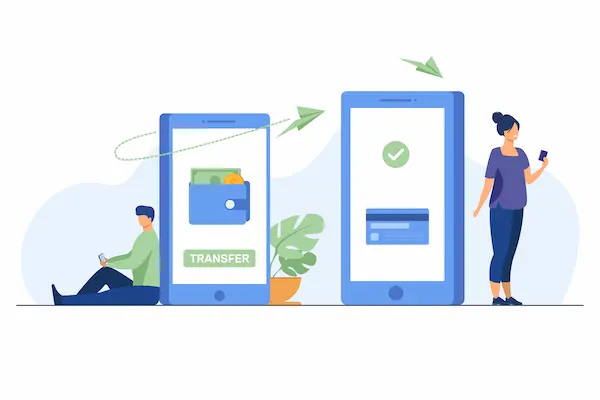 WooCommerce Payment by Wallet Plugins