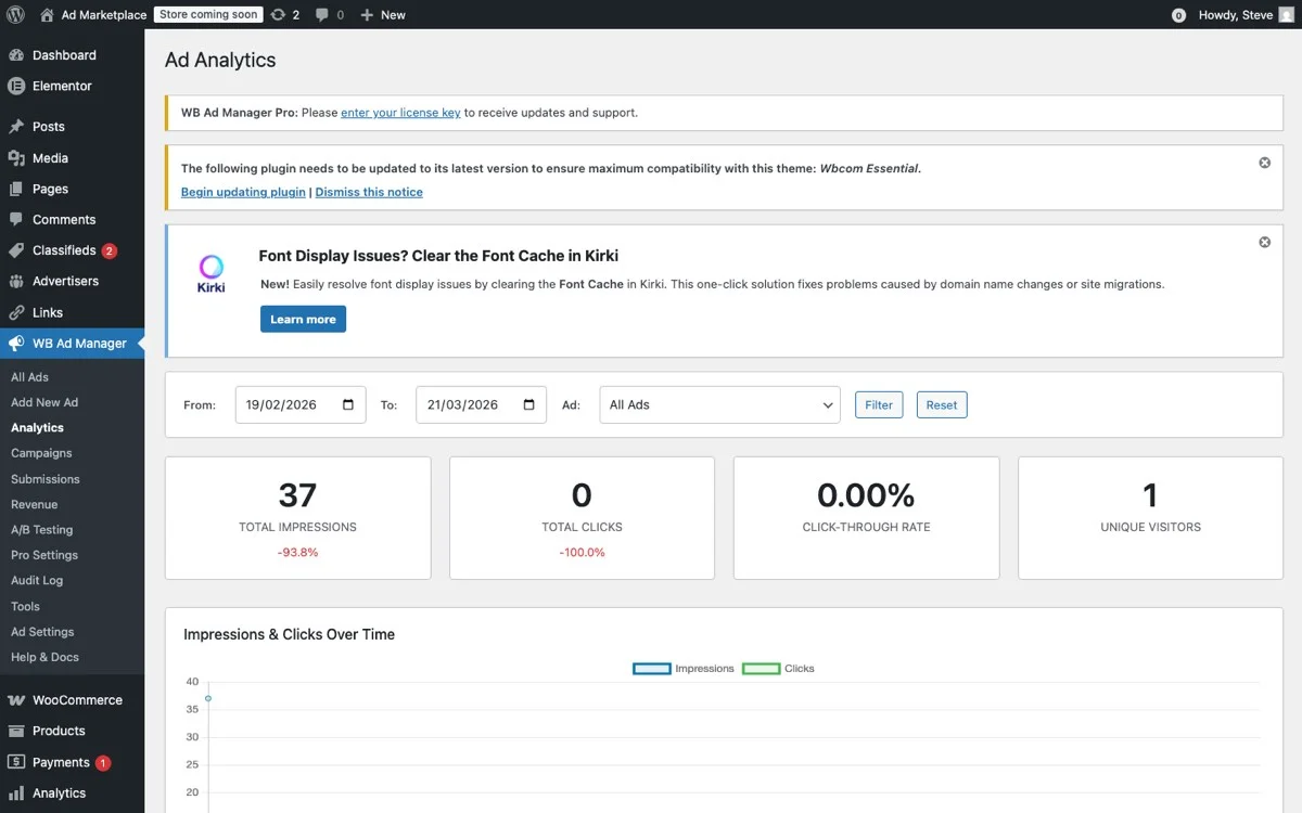 WB Ad Manager analytics dashboard showing ad performance charts, impressions, clicks, and revenue metrics